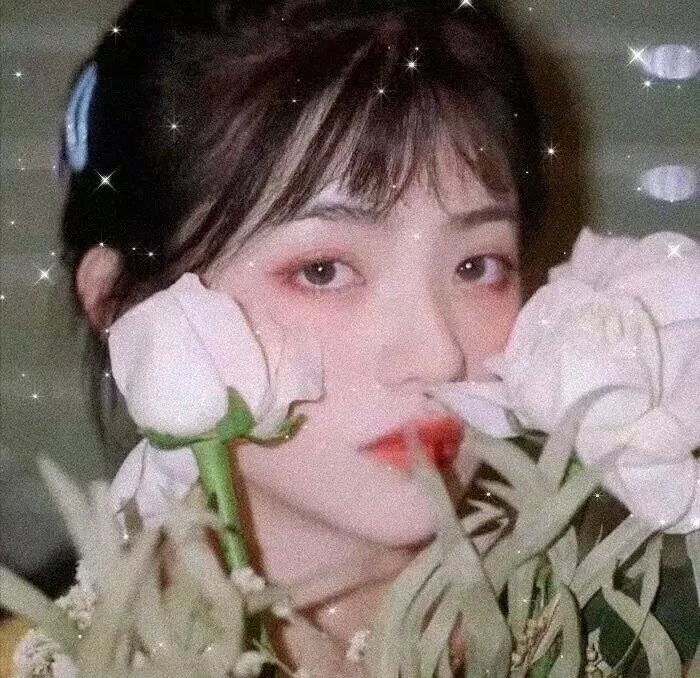 浪子挑情